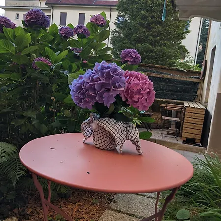 Pallanza Courtyard Lejlighed Verbania