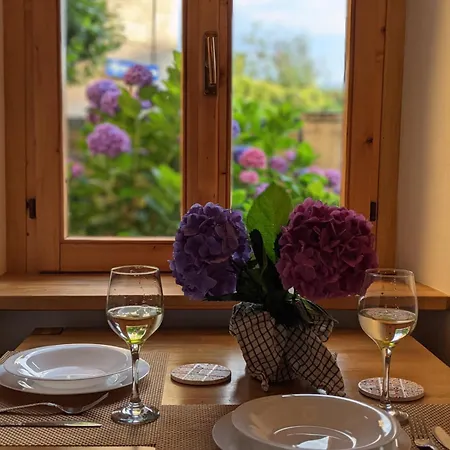 Pallanza Courtyard Lejlighed Verbania